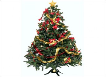 You can’t place a Christmas tree in Nazareth Illit! - Christian Messenger